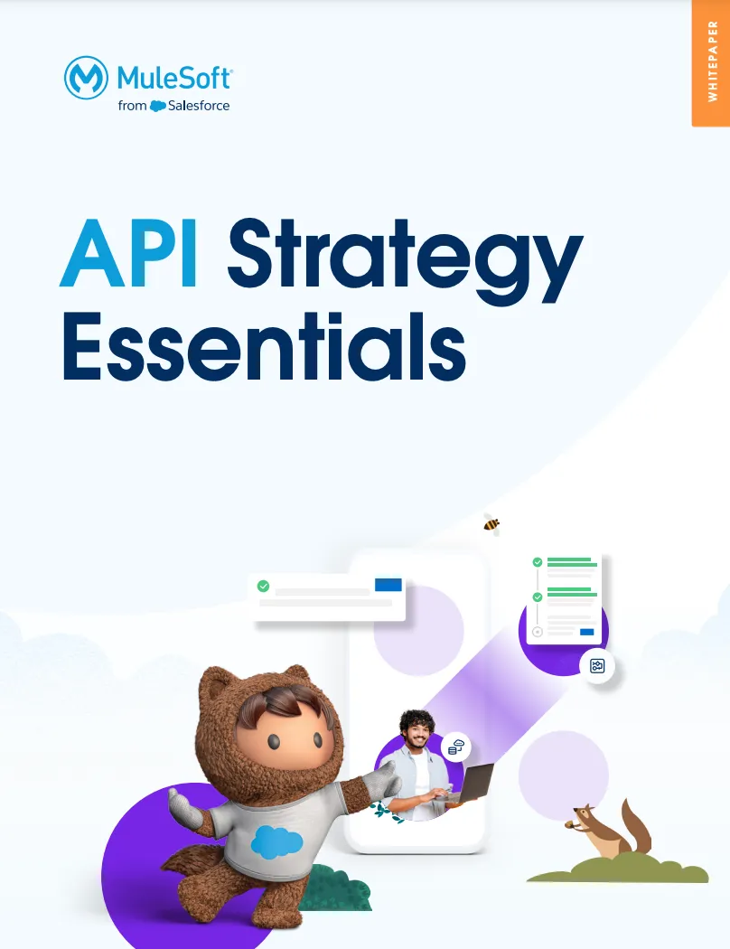 api-strategy-essentials