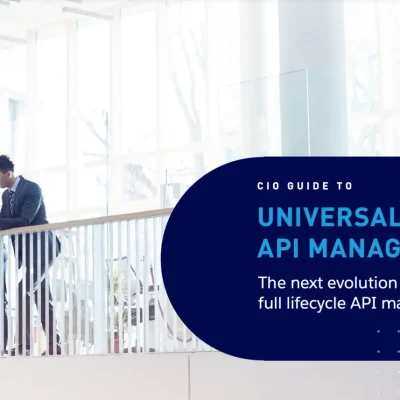 CIO guide to universal API management