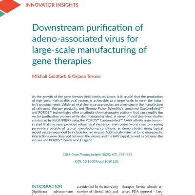Downstream purification of adeno-associated virus