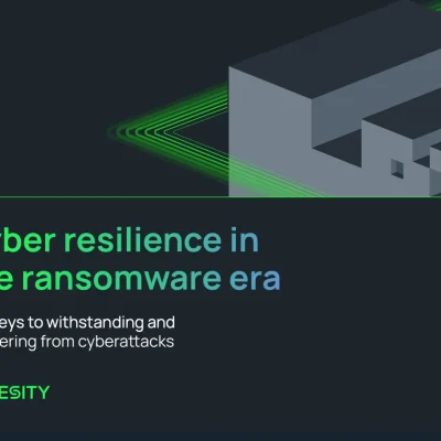 Cyber resilience in the ransomware era