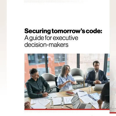 SECURING TOMORROW’S CODE: A GUIDE FOR EXECUTIVE DECISION-MAKERS