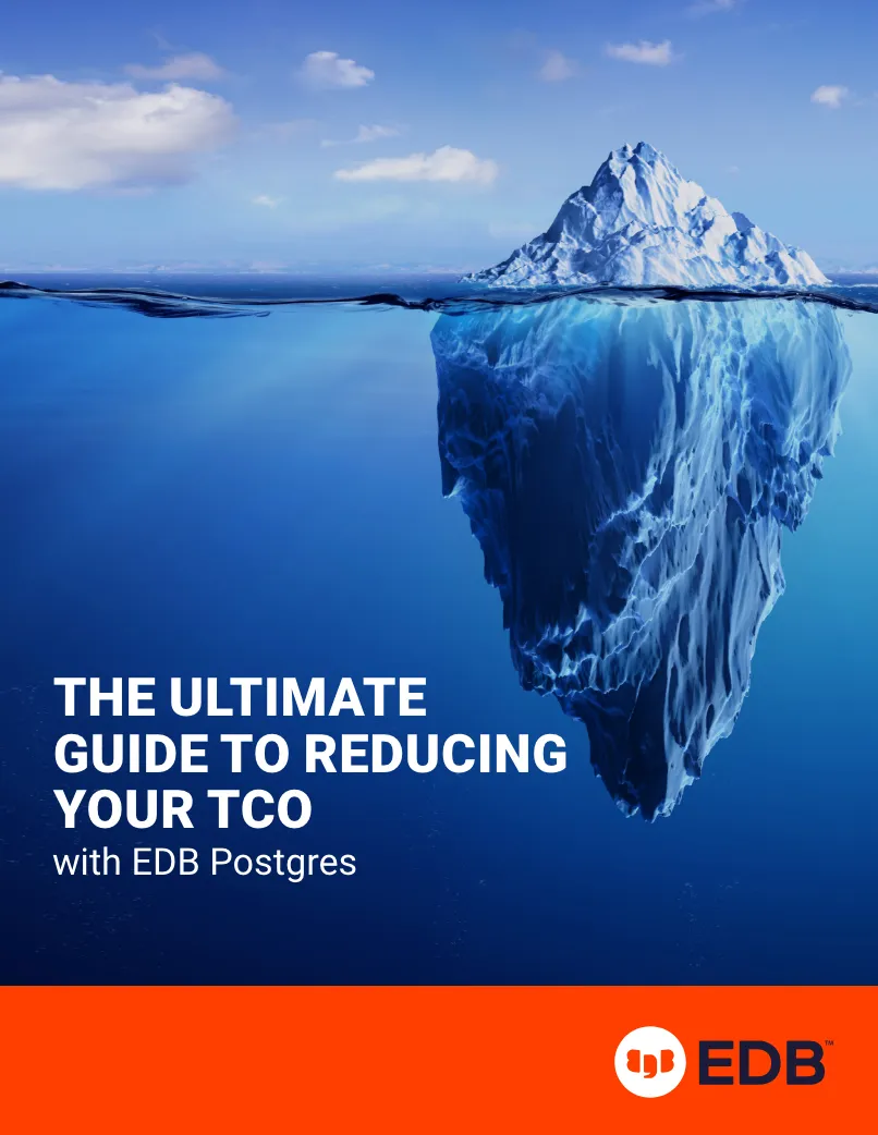 the-ultimate-guide-to-reducing-your-tco
