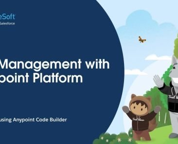 API Management with MuleSoft Series