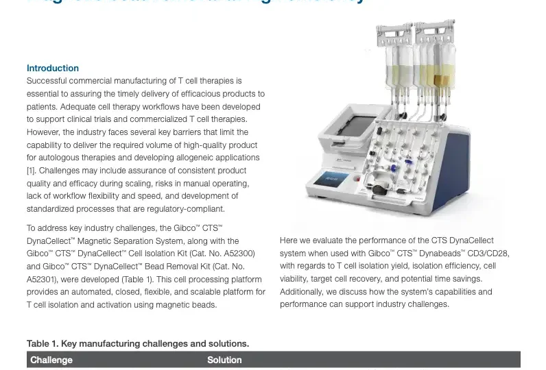 Automated and closed CTS DynaCellect Magnetic Separation System delivers target T cell isolation and magnetic bead removal at high efficiency