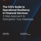 The CIO’s Guide to Operational Resiliency in Financial Services