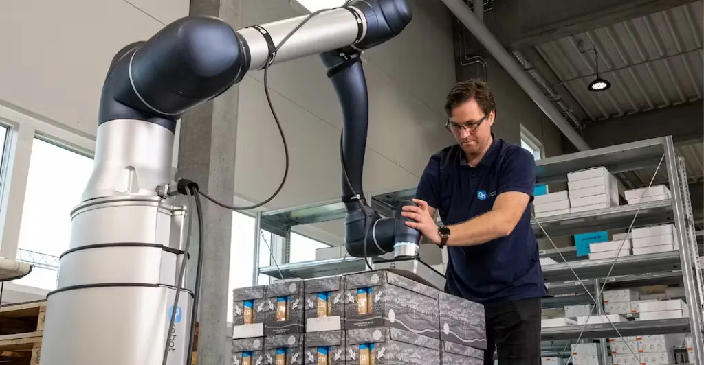 How to Succeed with Palletizing