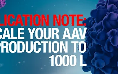 Production of AAV at the 1,000 L scale