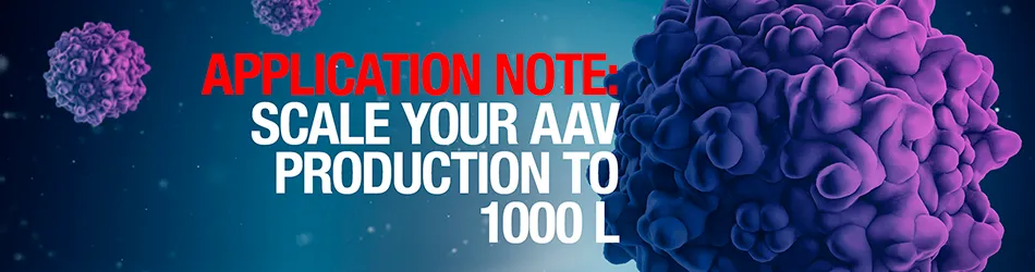 Production of AAV at the 1,000 L scale