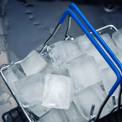 Securing Business Growth with Ice