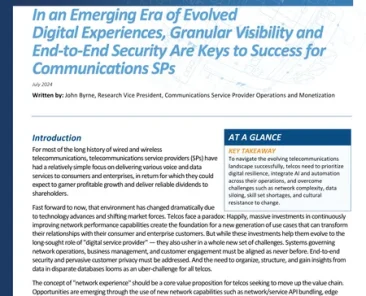 Granular Visibility and End-to-End Security Are Keys to Success for Communications SPs