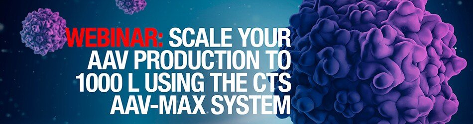 Scaling AAV production from 30mL to 1,000 L bioreactors for clinical applications
