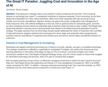 The Great IT Paradox: Juggling Cost and Innovation in the Age of AI