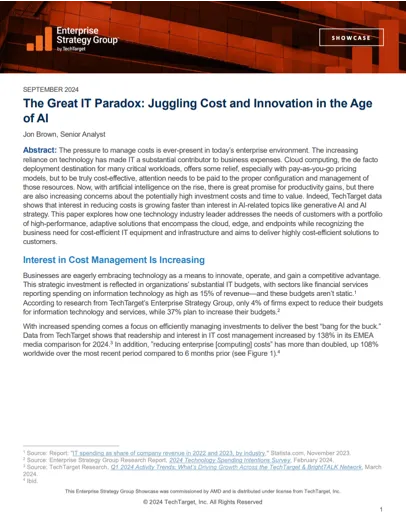 The Great IT Paradox: Juggling Cost and Innovation in the Age of AI