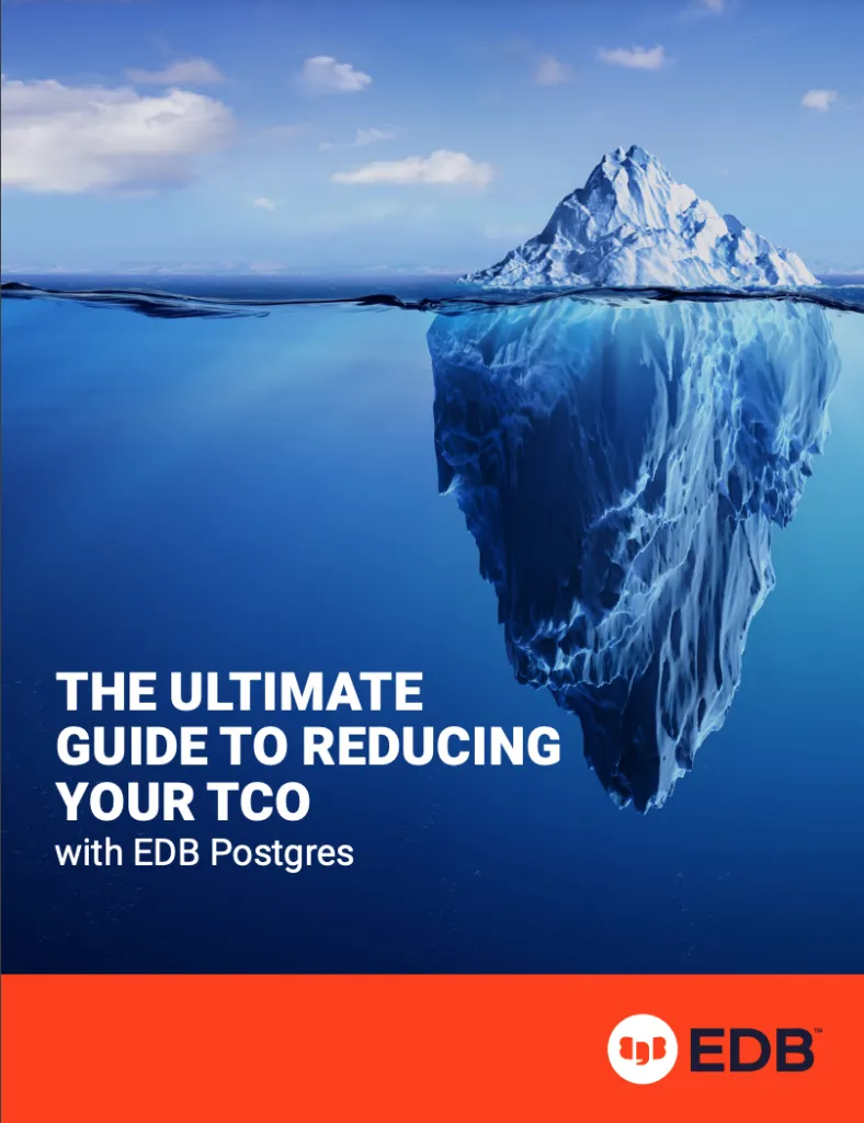 The Ultimate Guide to Reducing TCO