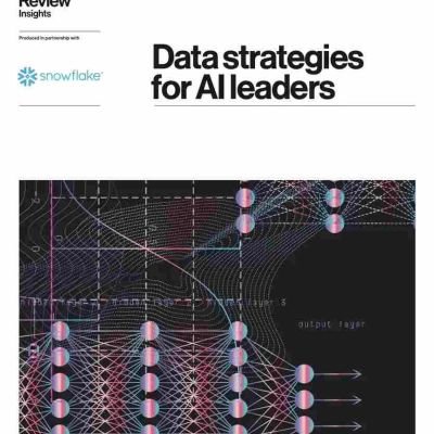 Data Strategies for AI Leaders
