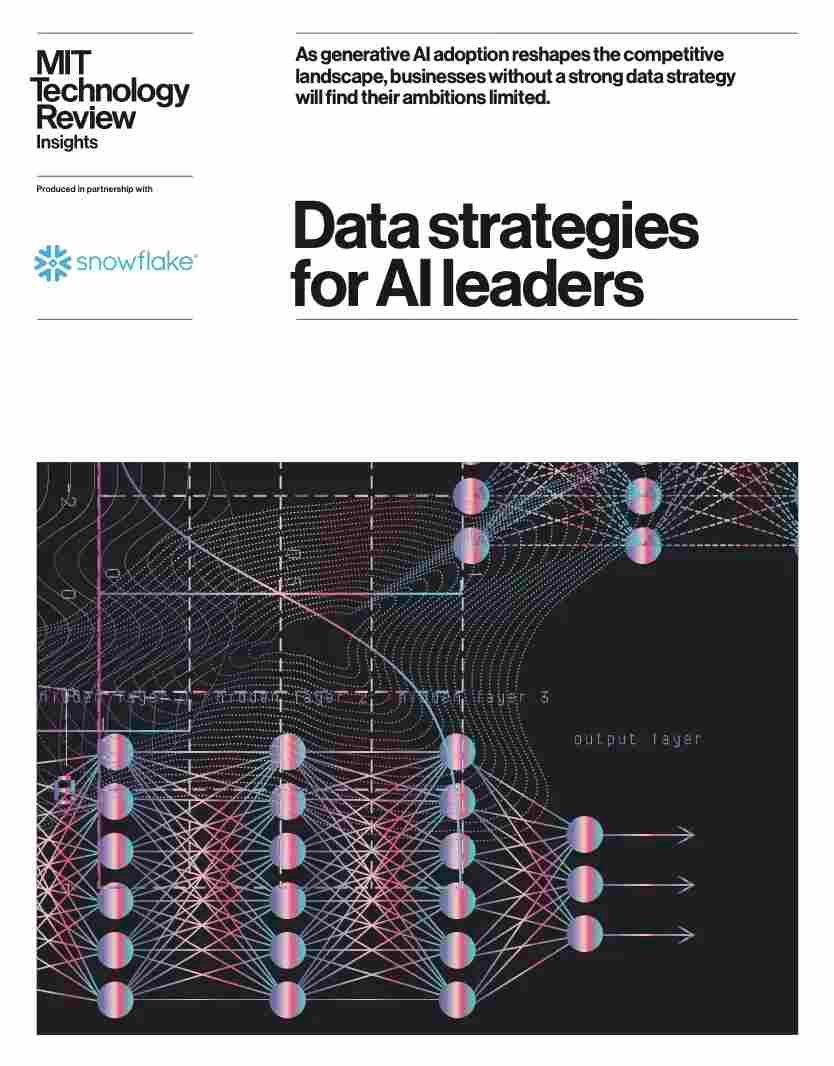 data-strategies-for-aileaders