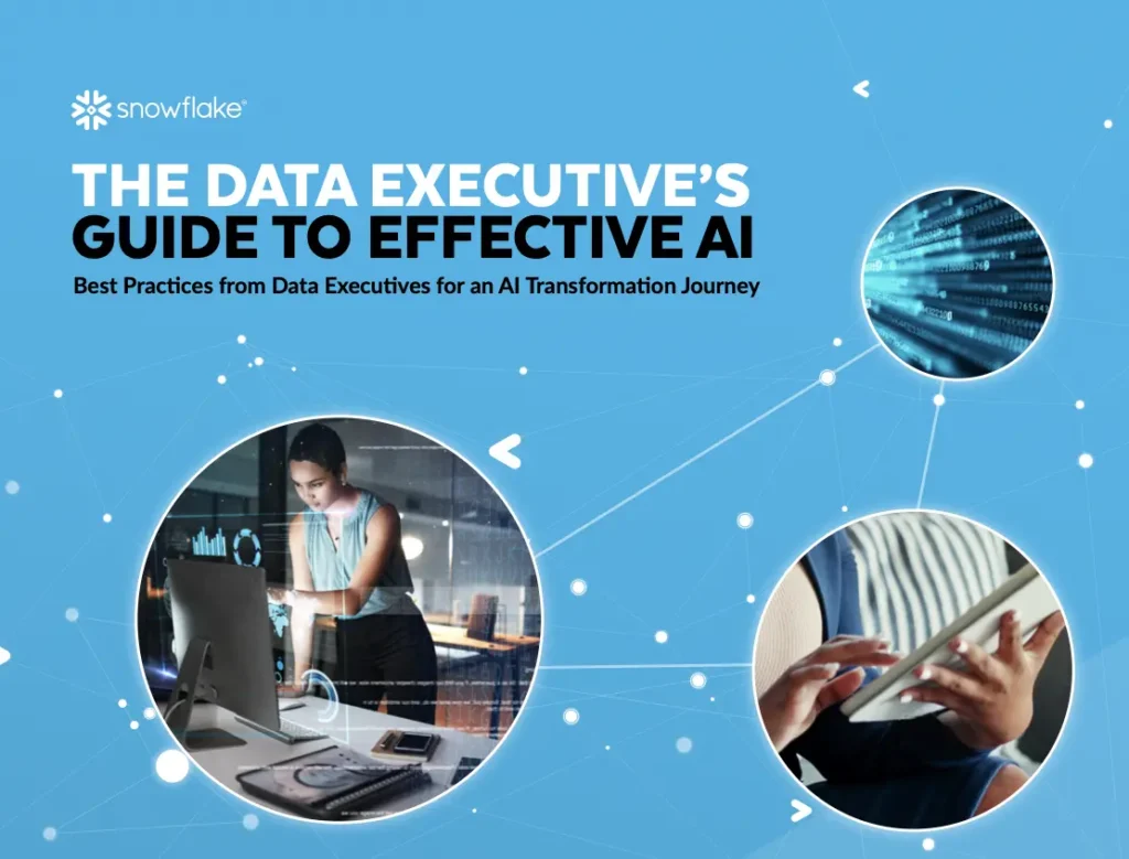The Data Executive's Guide to Effective AI:
