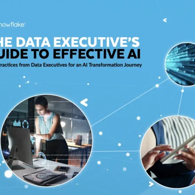 The Data Executive's Guide to Effective AI: