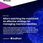 Who's Watching The Machines? An Effective Strategy for Managing Machine Identities